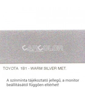 Toyota Metallic Base Color: 1B1