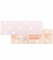 INDASA Premium Ceramic Sanding Sheet - 70x198mm