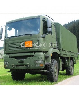 RAL6031 - BRONZEGRUEN