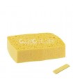 Sponte Compressed pop-up Sponge