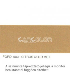 Ford Metallic Base Color: 603