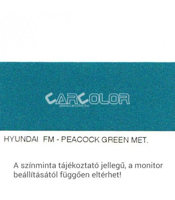 Hyundai Metallic Base Color: FM