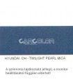 Hyundai Metallic Base Color: OH