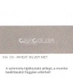 KIA Metallic Base Color: C3