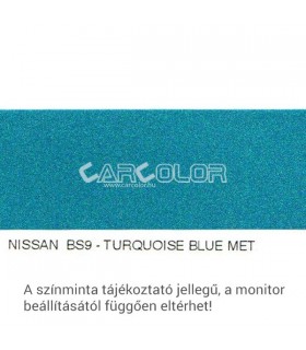 Nissan Metallic Base Color: BS9