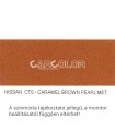 Nissan Metallic Base Color: CT0