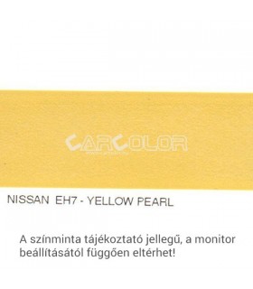 Nissan Metallic Base Color: EH7