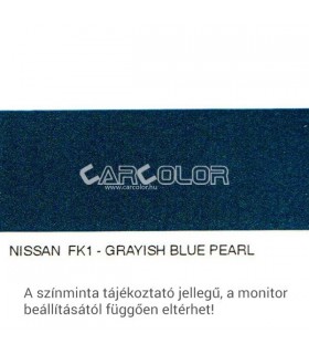 Nissan Metallic Base Color: FJ1