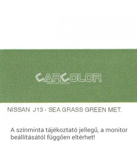 Nissan Metallic Base Color: J13