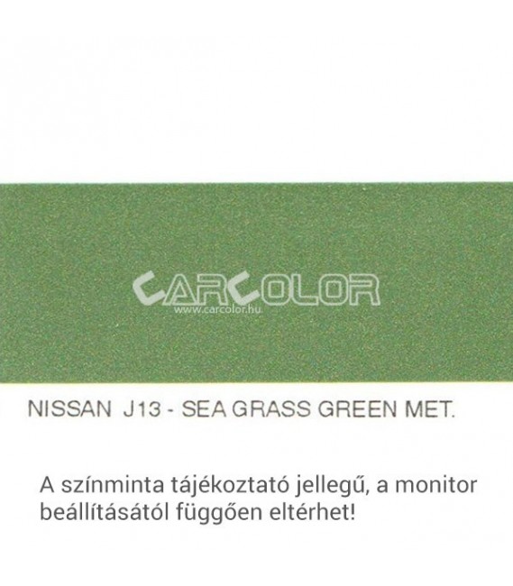 Nissan Metallic Base Color: J13