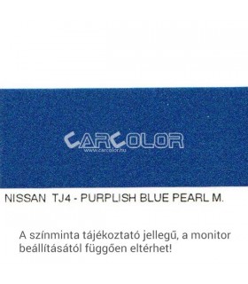 Nissan Metallic Base Color: T12
