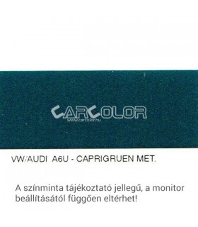 Volkswagen / Audi Metallic Base Color: A6U