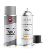 Automotive Spray Products