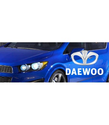 Daewoo - Mixed Paint