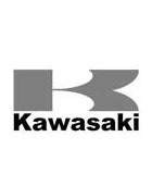 Kawasaki mixed paint