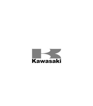 Kawasaki színrekevert motorfesték