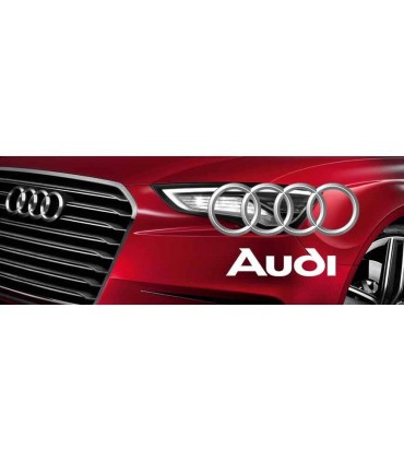 Audi - Színrekevert Autófesték